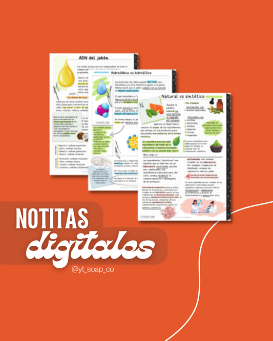 Notitas Digitales; pdf